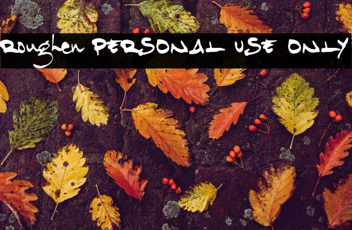 Roughen PERSONAL USE ONLY Example 2