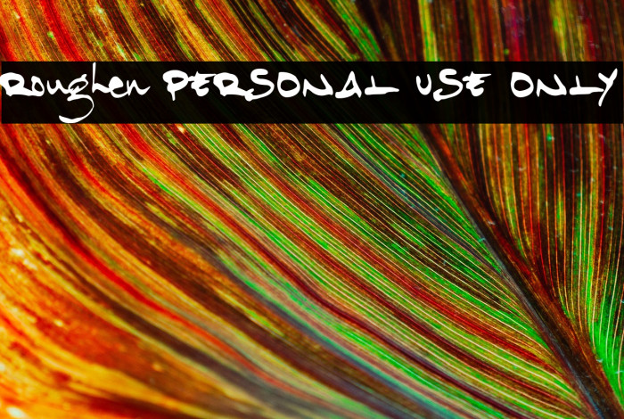 Roughen PERSONAL USE ONLY Example 3