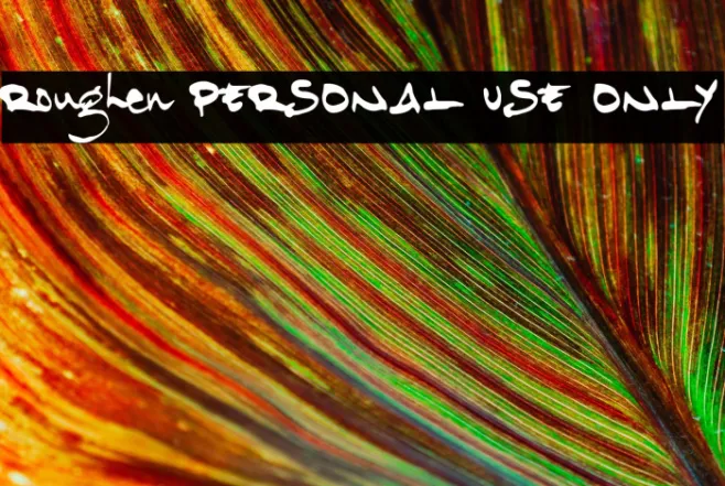 Roughen PERSONAL USE ONLY Example 3