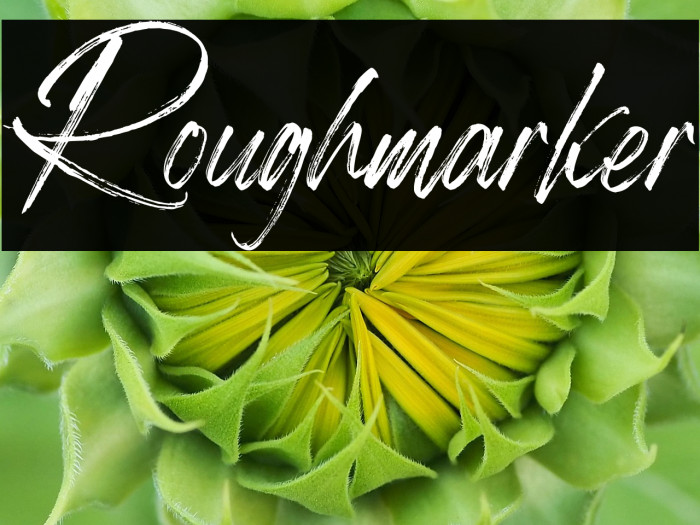 Roughmarker Example 1