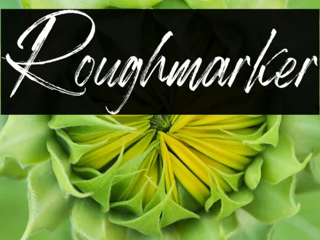 Roughmarker Example 1