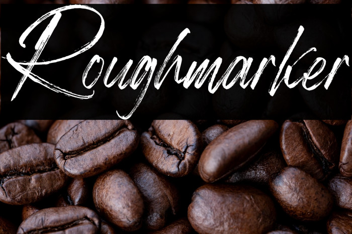 Roughmarker Example 2