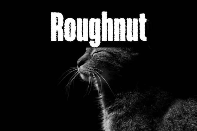 Roughnut Example 1