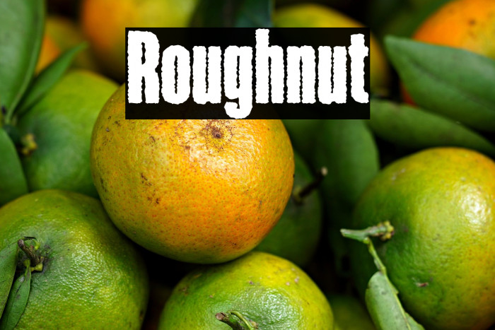 Roughnut Example 3
