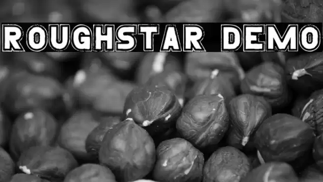 Roughstar Demo Font examples
