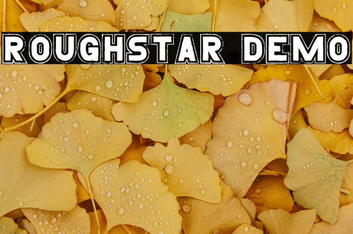 Roughstar Demo Example 2