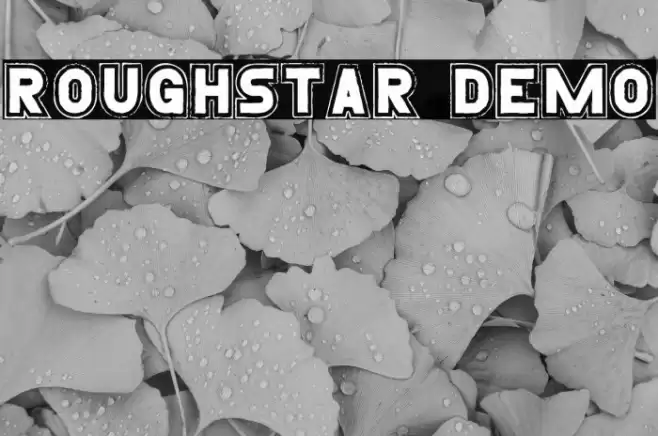 Roughstar Demo Font examples