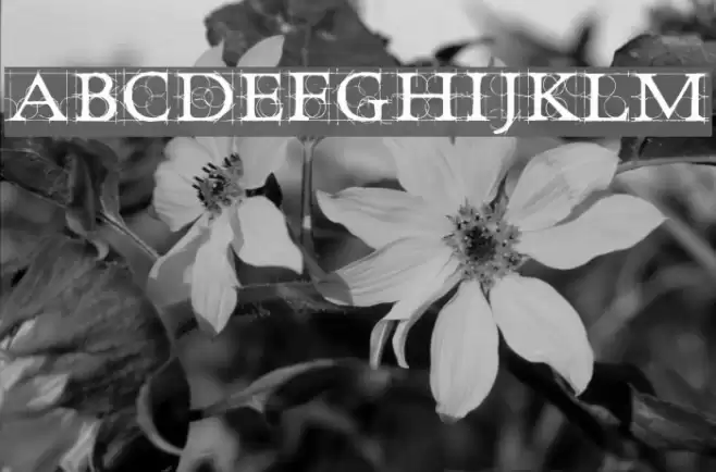 Roughwork Demo Fonte examples