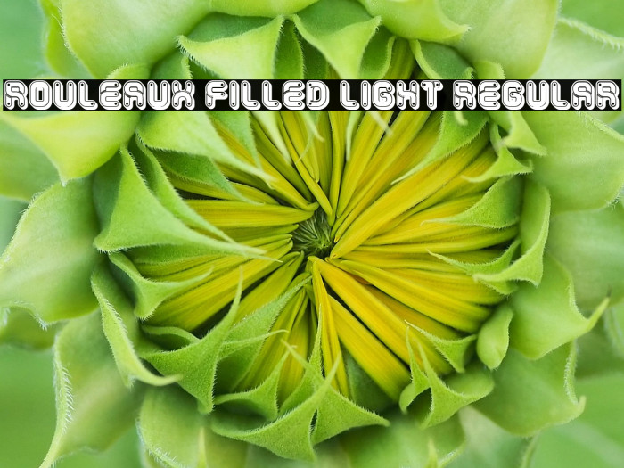 Rouleaux Filled Light Regular Example 2