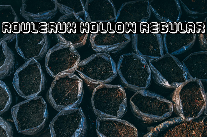 Rouleaux Hollow Regular Example 3