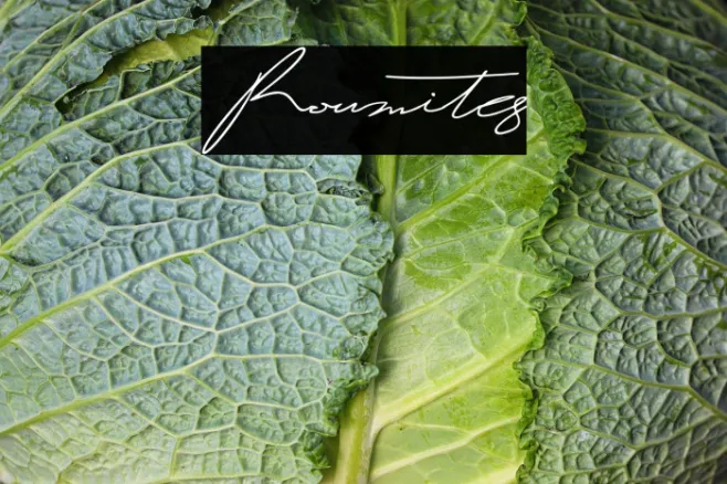 Roumites Example 2