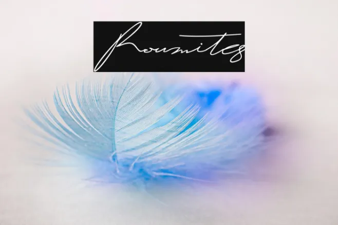 Roumites Example 3