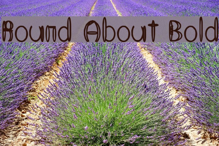 Round About Bold Font examples