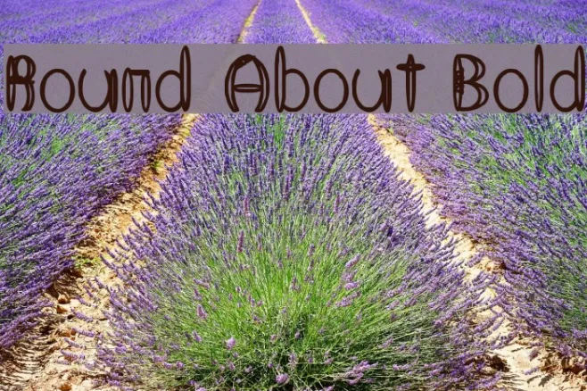 Round About Bold Example 3