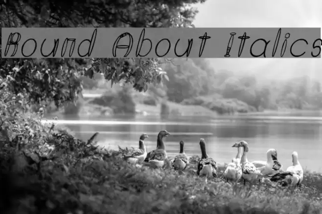 Round About Italics Font examples