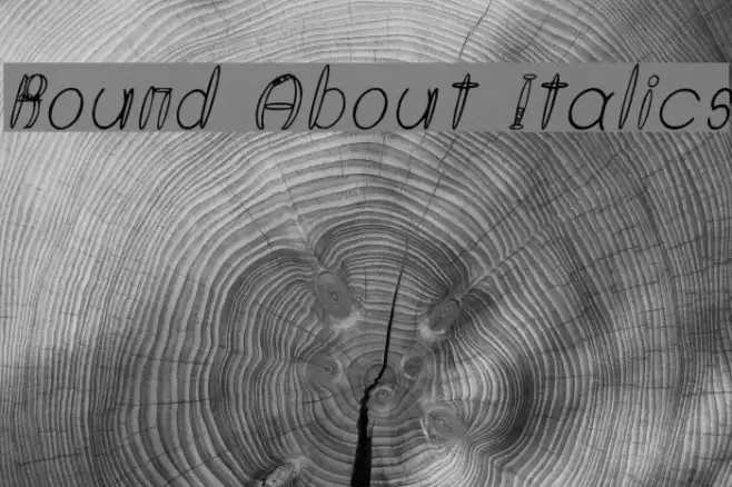 Round About Italics Font examples