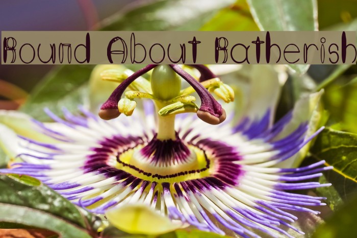 Round About Ratherish Font examples