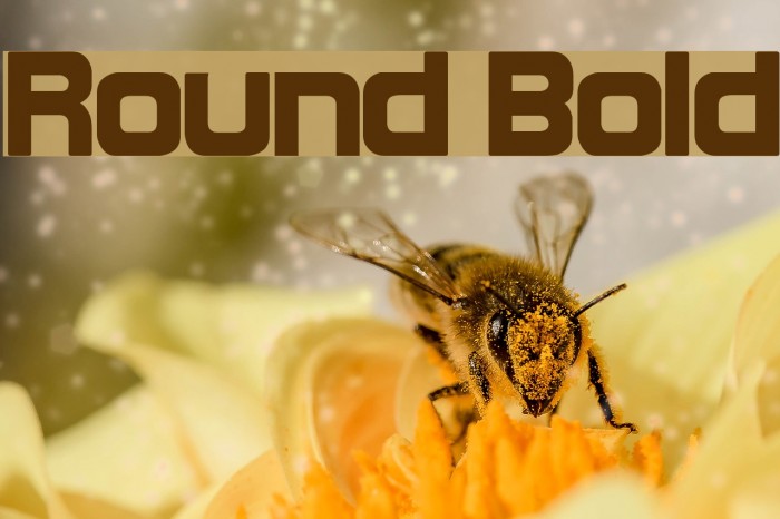 Round Bold Font examples