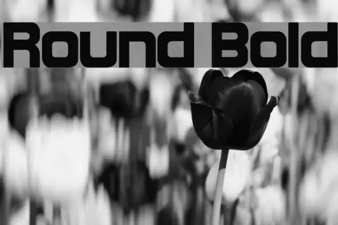 Round Bold Font examples