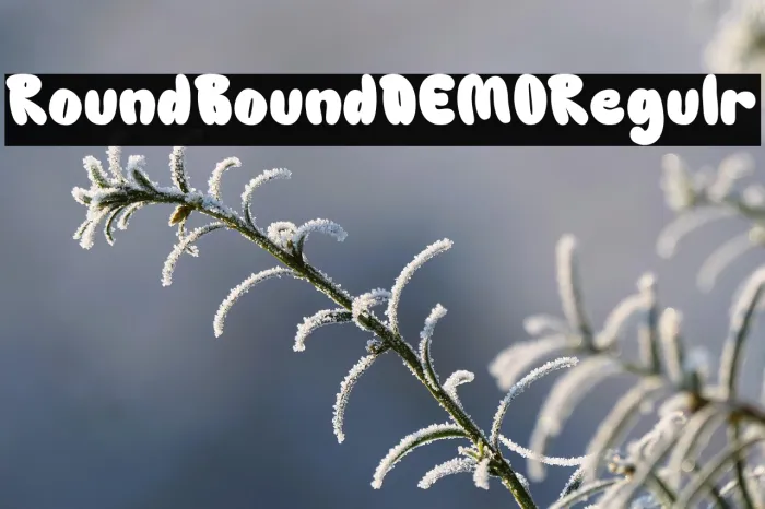 Round Bound DEMO Regular Example 3