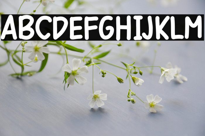 Round Butterfly Example 2