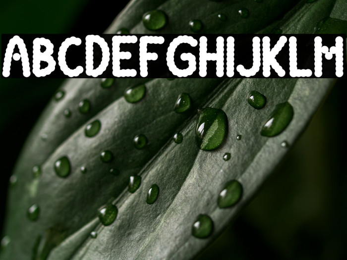 Round Chips Example 3