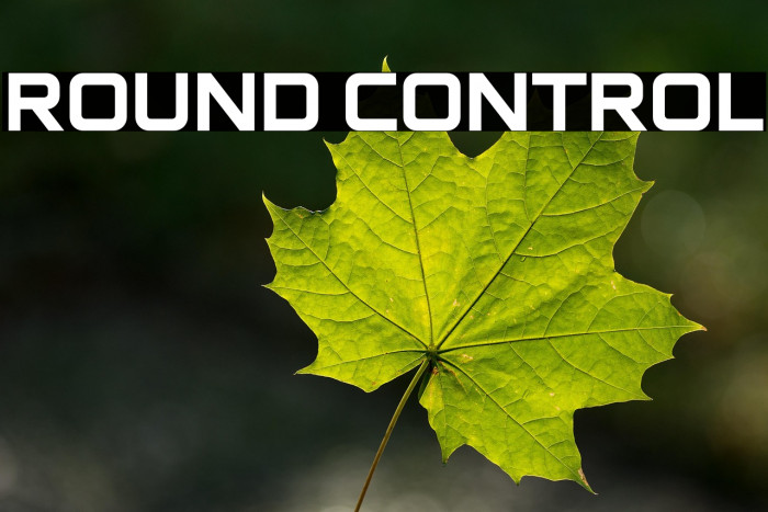 Round Control Example 2