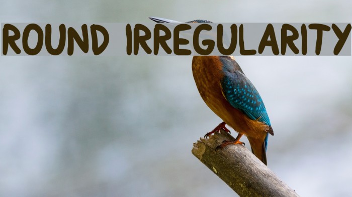 Round Irregularity Font examples