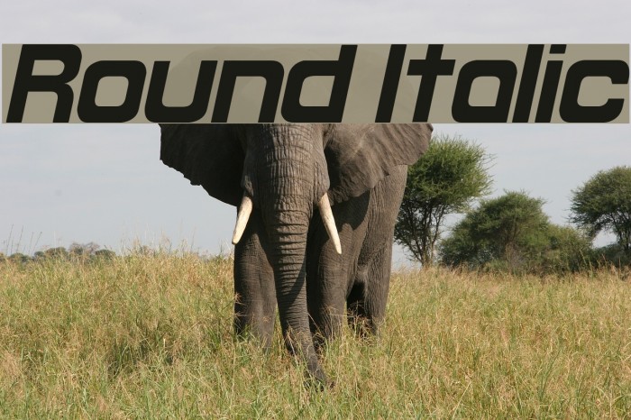Round Italic Font examples