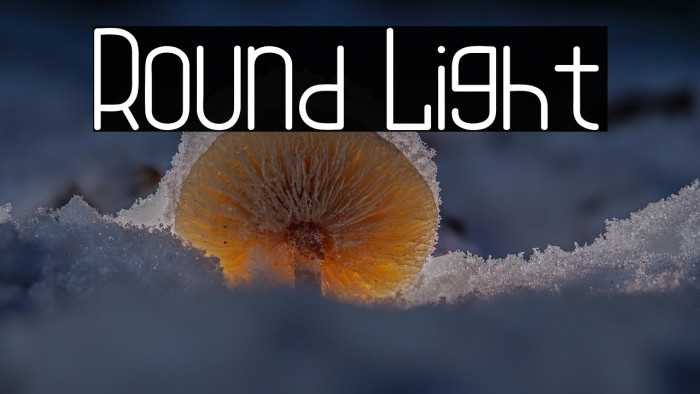 Round Light Example 1