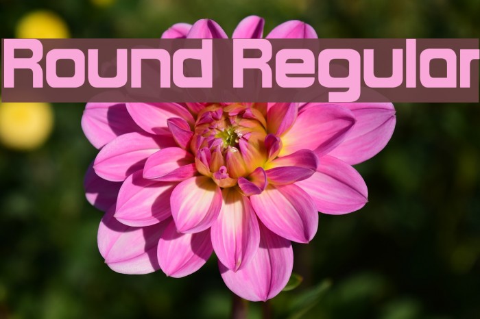 Round Regular Example 2