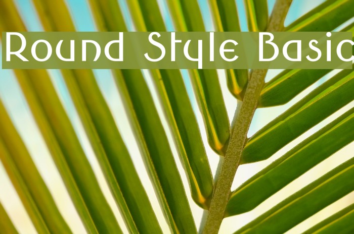 Round Style Basic Font examples