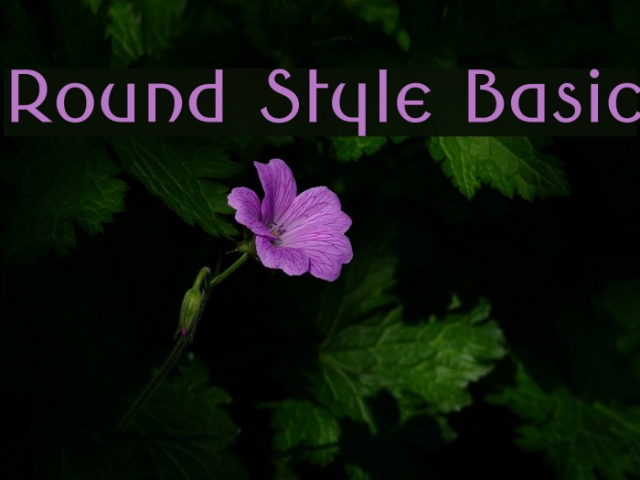 Round Style Basic Font examples