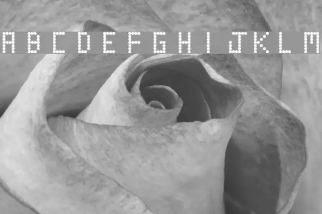 Round Tech Regular Font examples