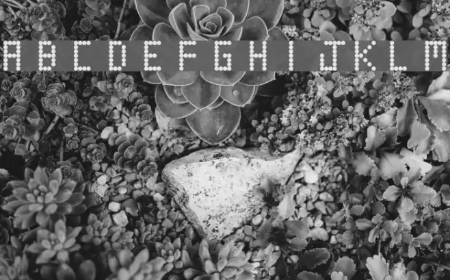 Round Tech Regular Font examples