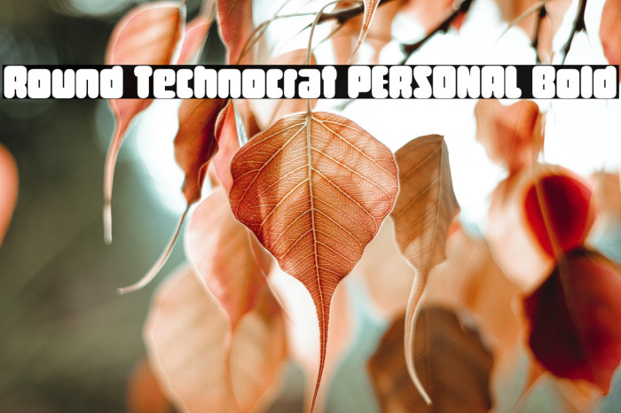 Round Technocrat PERSONAL Bold Example 1