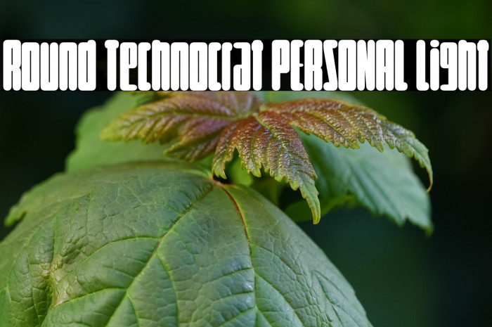 Round Technocrat PERSONAL Light Example 1