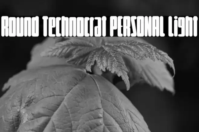 Round Technocrat PERSONAL Light Font examples