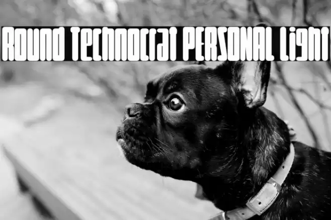 Round Technocrat PERSONAL Light Font examples