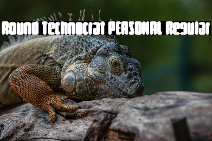 Round Technocrat PERSONAL Regular Example 2