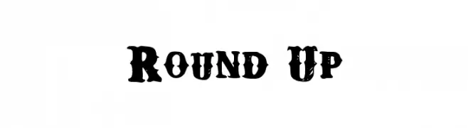 Round Up  Descarca Fonturi Gratis