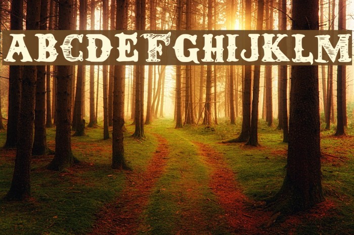 Round Up Font examples
