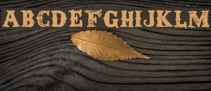 Round Up Font examples