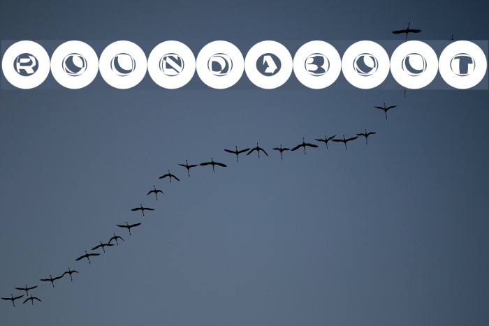 RoundAbout Font examples