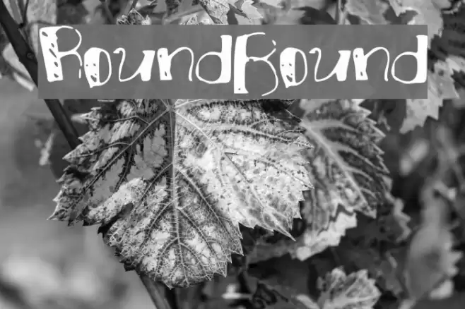 RoundBound Font examples