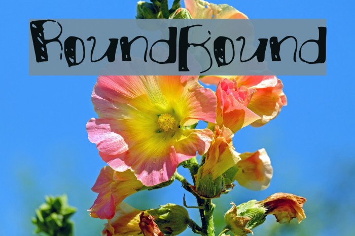 RoundBound Example 3