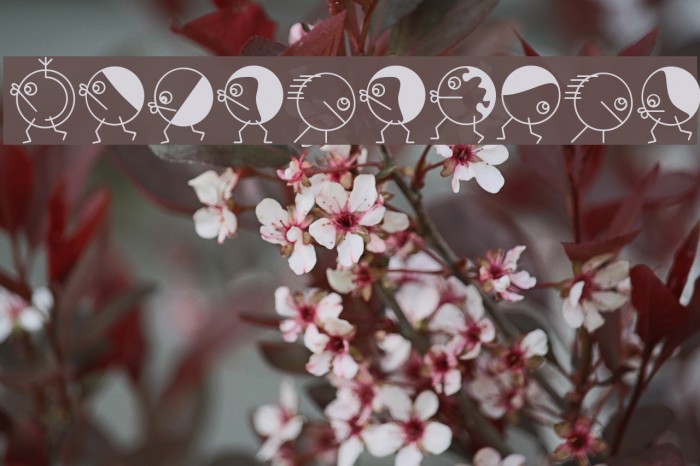 RoundHeads Font examples