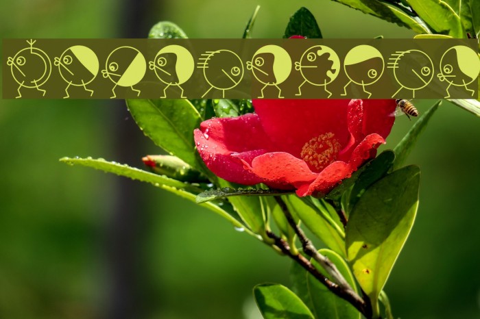 RoundHeads Font examples