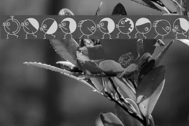 RoundHeads Font examples