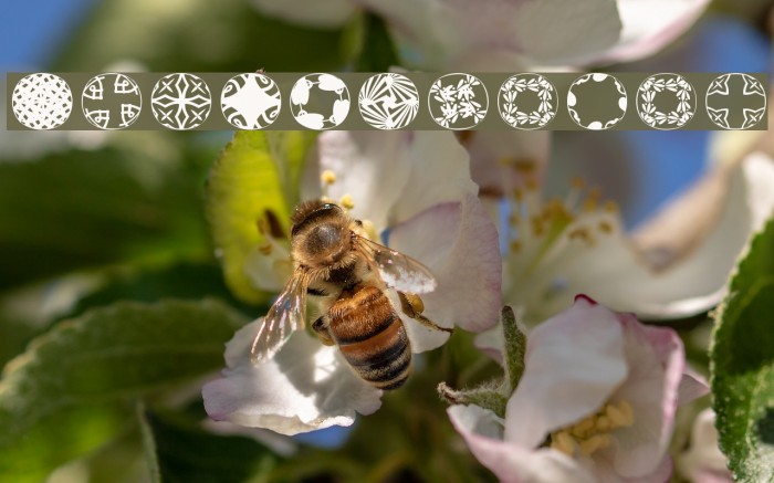 RoundPieces-06 Example 2